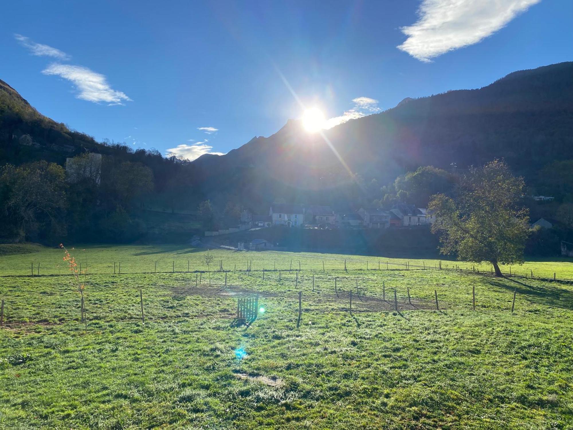 Au Bord Du Gave Laruns Exterior foto